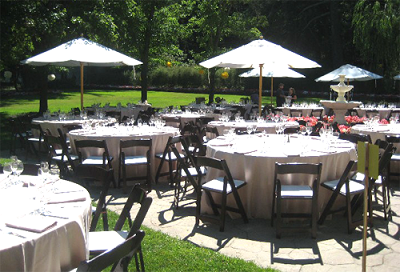 Established Leading Party & Event Rentals Business